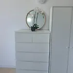 Apartament Relax And Pool En Park